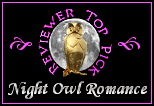 My Cat Burglar Reviewer Top Pick Night Owl Romance