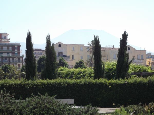 Herculaneum and Mt Vesuvius in background