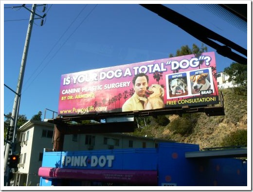 Hollywood Plastic Surgery for Dogs