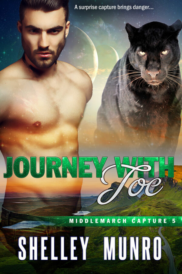 Journey with Joe