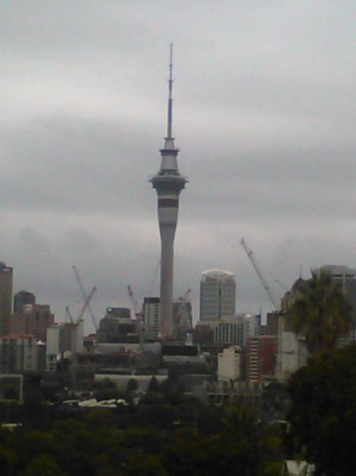 View of Sky Tower from Ponsonby