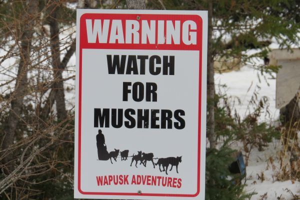 Watch for Mushers