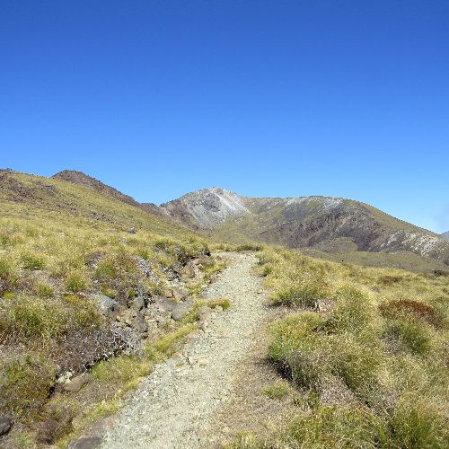 Kepler Track