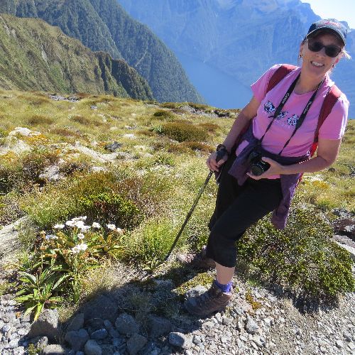 Alpine Plants, Te Anau