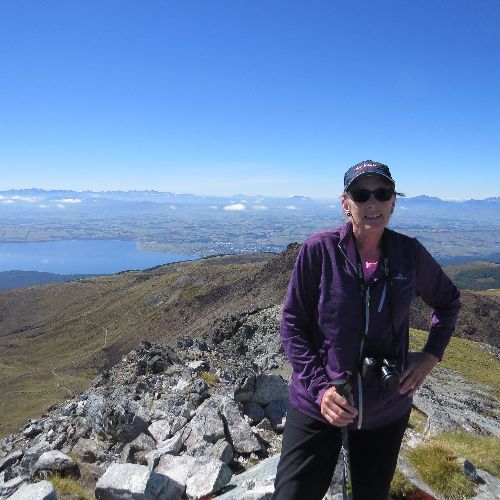 Mountain Top, Te Anau