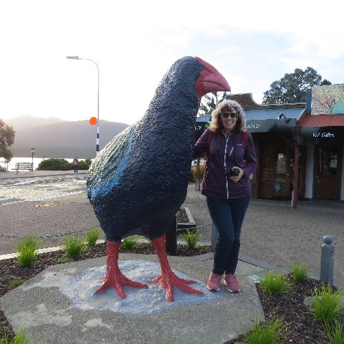 Takahe Statue, Te Anau