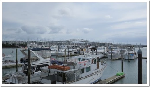 Auckland Harbor Bridge Boats