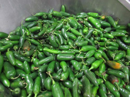 So many chilies!
