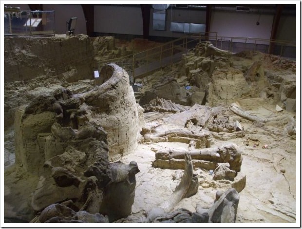 Mammoth_dig site