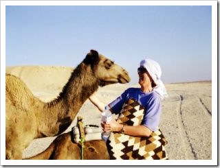 Shell's Camel, Egypt