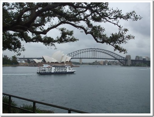 Sydney Harbor View
